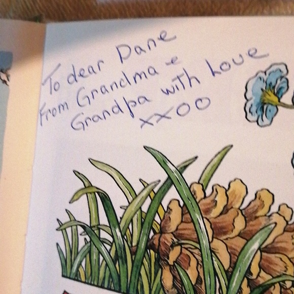 Rupert No.59 Book Daily Express Annual Pedigree Books Ian Robinson John Harrold - Picture 4 of 5